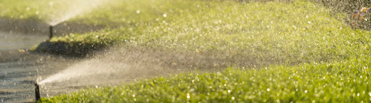 Grass with lawn watering sprinkler 