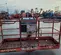 2016 Skyjack SJ66T Boom Lift