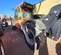 2017 JLG 1055 Forklift