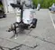 2019 Magnum Pro MLT3060 Portable Light Tower