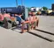 2017 Skyjack SJ1256THS Forklift