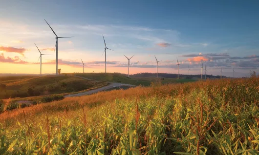 Environment Hero image - windmills